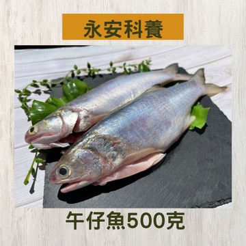 【永安科養】午仔魚500克/入(2尾裝) 2入組