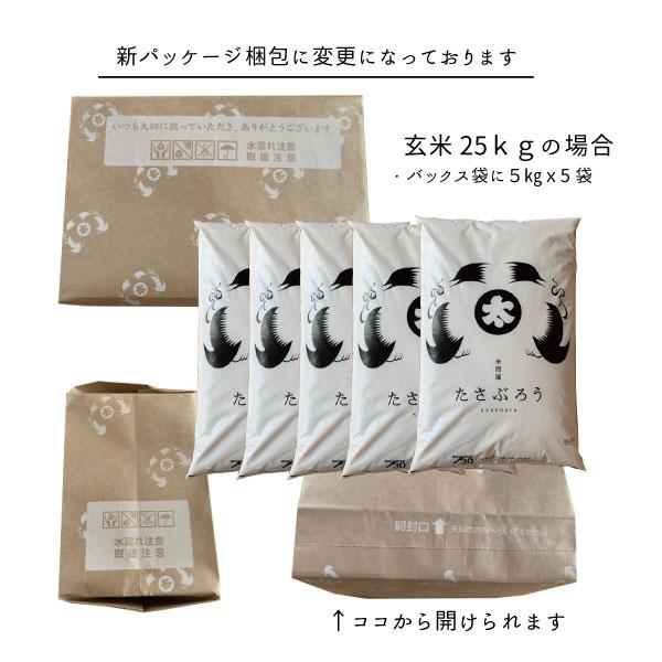 米 お米 米25kg  新米 コシヒカリ 玄米25kg 5kgx5袋 令和5年産福島県産