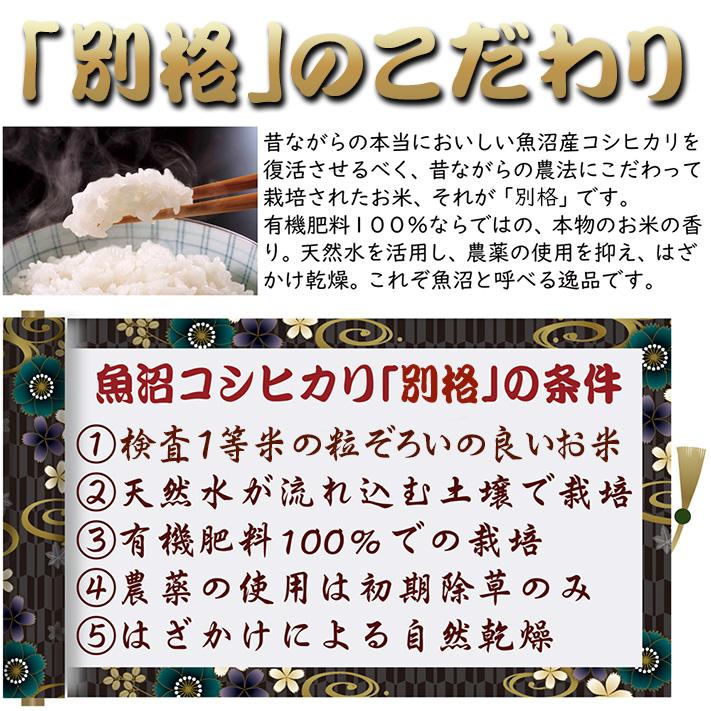 新米 令和5年 米 お米 5kg 新潟県魚沼産コシヒカリ 「別格」 白米5kg（5kg×1） 令和５年産米 有機質肥料栽培米