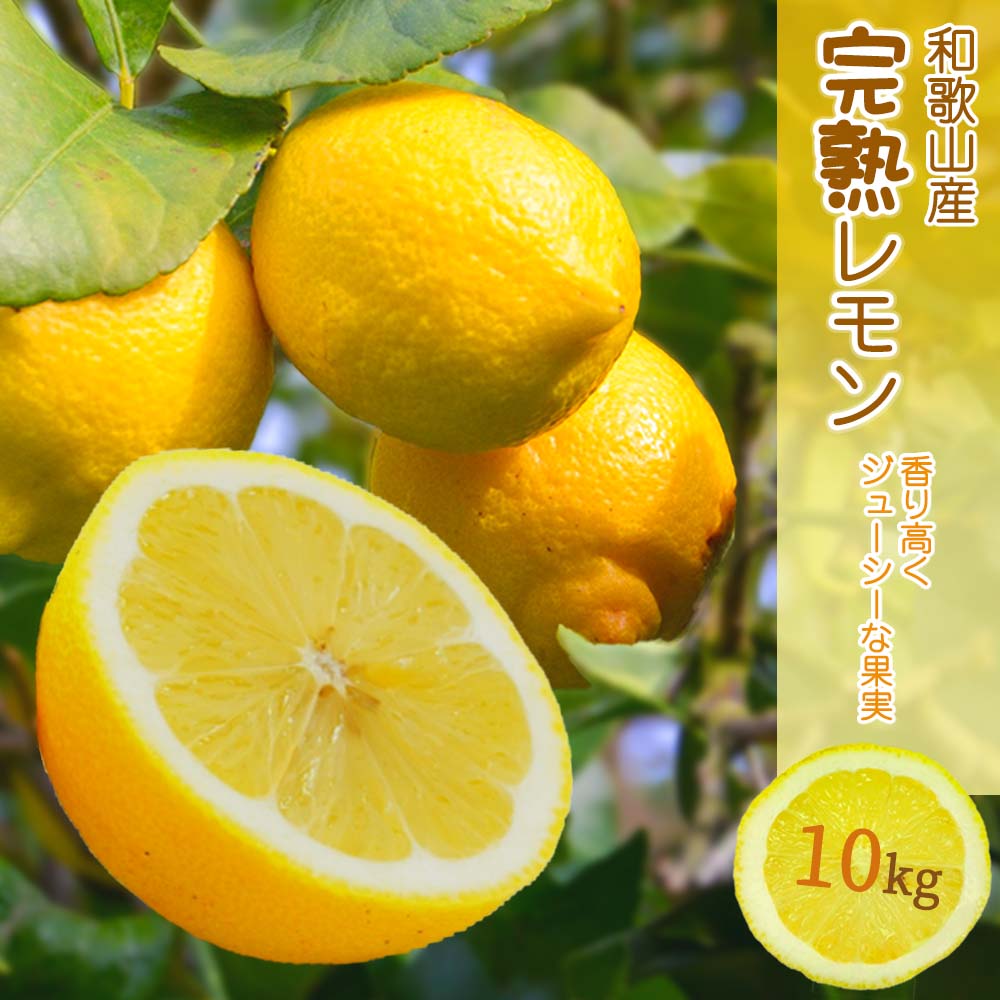 EA6013_和歌山県産 完熟 レモン 10kg 皮までご使用いただける低農薬栽培