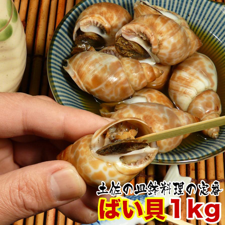 お酒　食材　海鮮　１ｋｇ　煮つけ　おつまみ　皿鉢料理　お取り寄せ　送料無料　大容量　生冷凍　LINEショッピング　貝　冬　塩ゆで　バイ貝　業務用　グルメ