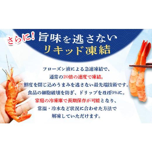 ふるさと納税 北海道 羽幌町 超速リキッド凍結でドリップゼロ！北海道羽幌産生鮮甘えび 1kg（200g×5パック）