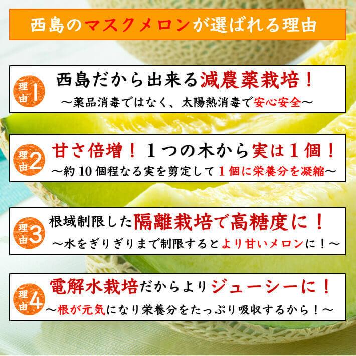 高知県産 高級マスクメロン 大玉(約1,5ｋｇ×２) 家庭用 フルーツ ギフト