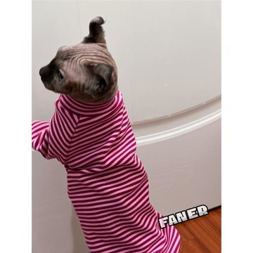 FANER無毛貓德文秋冬季德絨自發熱套頭衫柔軟條紋秋衣保暖衣服