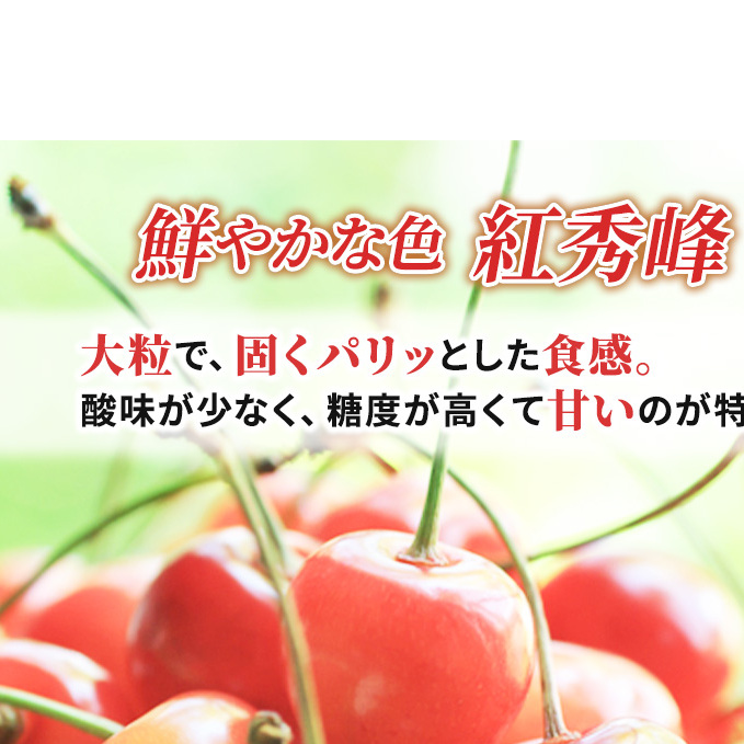 先行受付 2024年7月から出荷 北海道 仁木町産 サクランボ 紅秀峰 800g 厳選品  松山商店