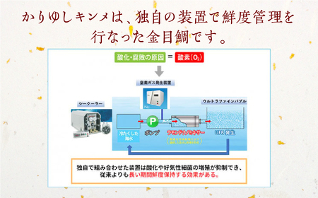 沖縄県糸満産金目鯛・かりゆしキンメのしゃぶしゃぶセット4～5人前