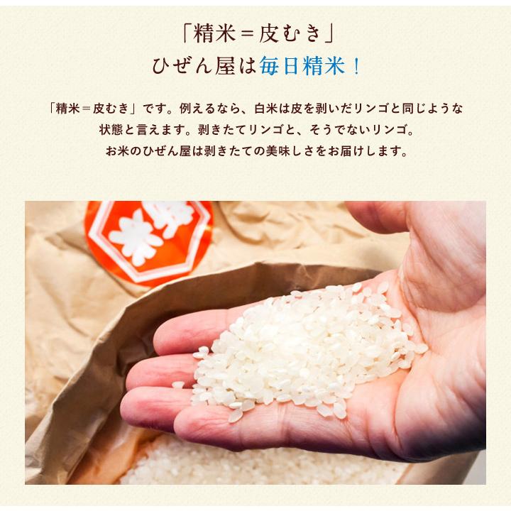 新米　米 お米 5kg 送料無料 ヒノヒカリ 佐賀県産　令和5年度