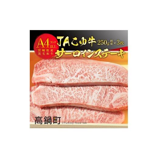 ふるさと納税 宮崎県 高鍋町 ＜JAこゆ牛A4〜サーロインステーキ 250g程度×3枚＞翌月末迄に順次出荷