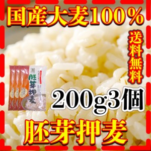 大麦 200g 国産 胚芽押麦 大麦100％ 送料無料 200g3個 健康 西田精麦 食物繊維 無添加 無漂白 富田商店 とみた商店