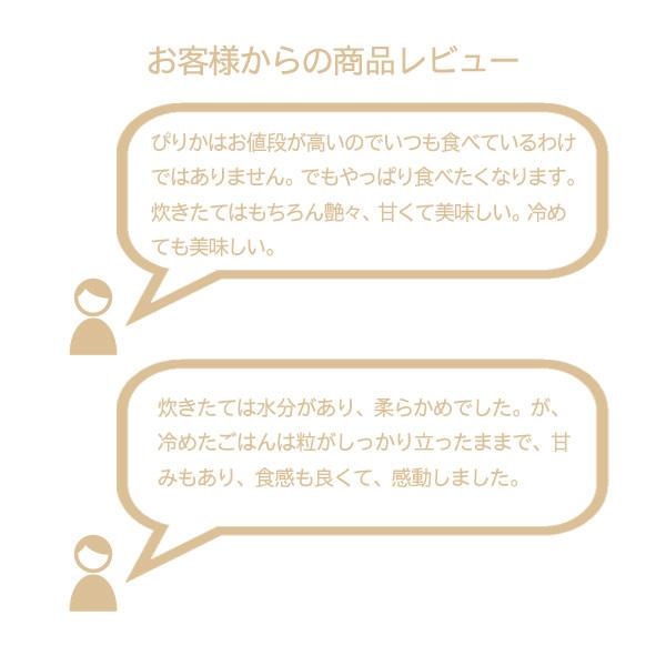 新米 5kg ゆめぴりか お米 令和５年産 北海道産 精米 白米