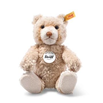 Buddy Teddy Bear