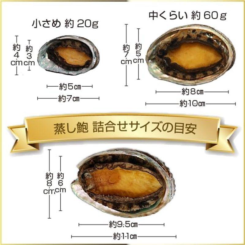 冷凍 蒸しあわび（蝦夷あわび）サイズ色々300ｇ蒸しあわび