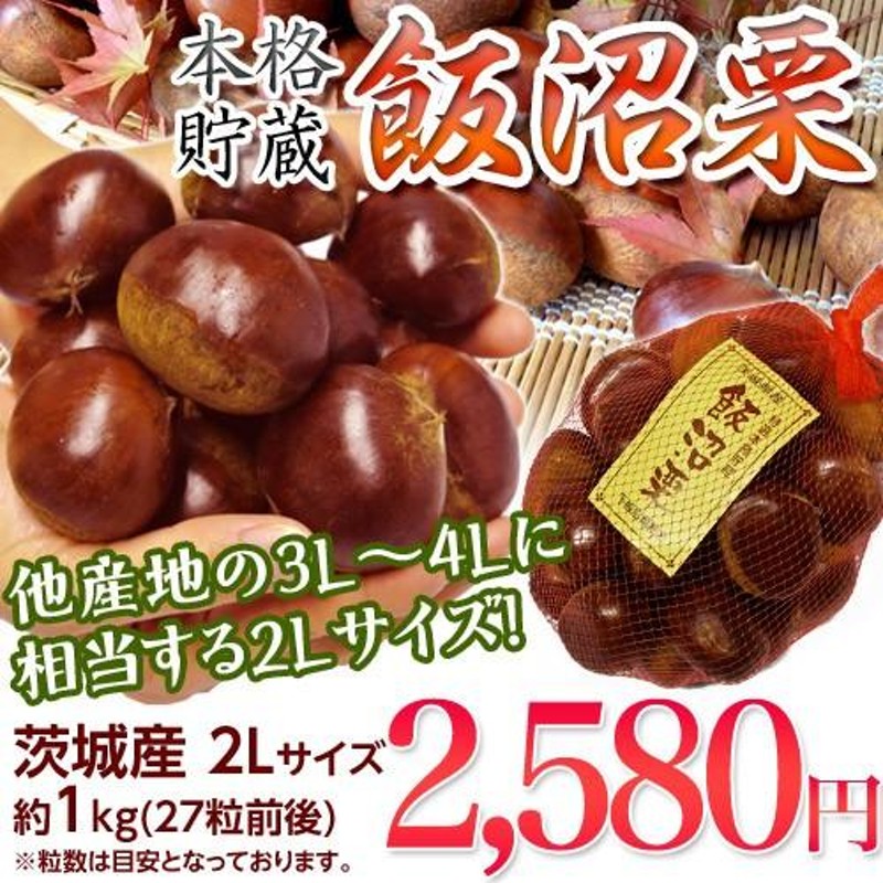 栗 くり クリ 茨城県産 飯沼栗 2Lサイズ 約1kg (目安 27粒前後) ※冷蔵