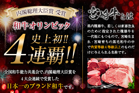 ≪数量限定≫最高ランク5等級宮崎牛ロースステーキ(計500g)　肉　牛　牛肉　国産 D22-191