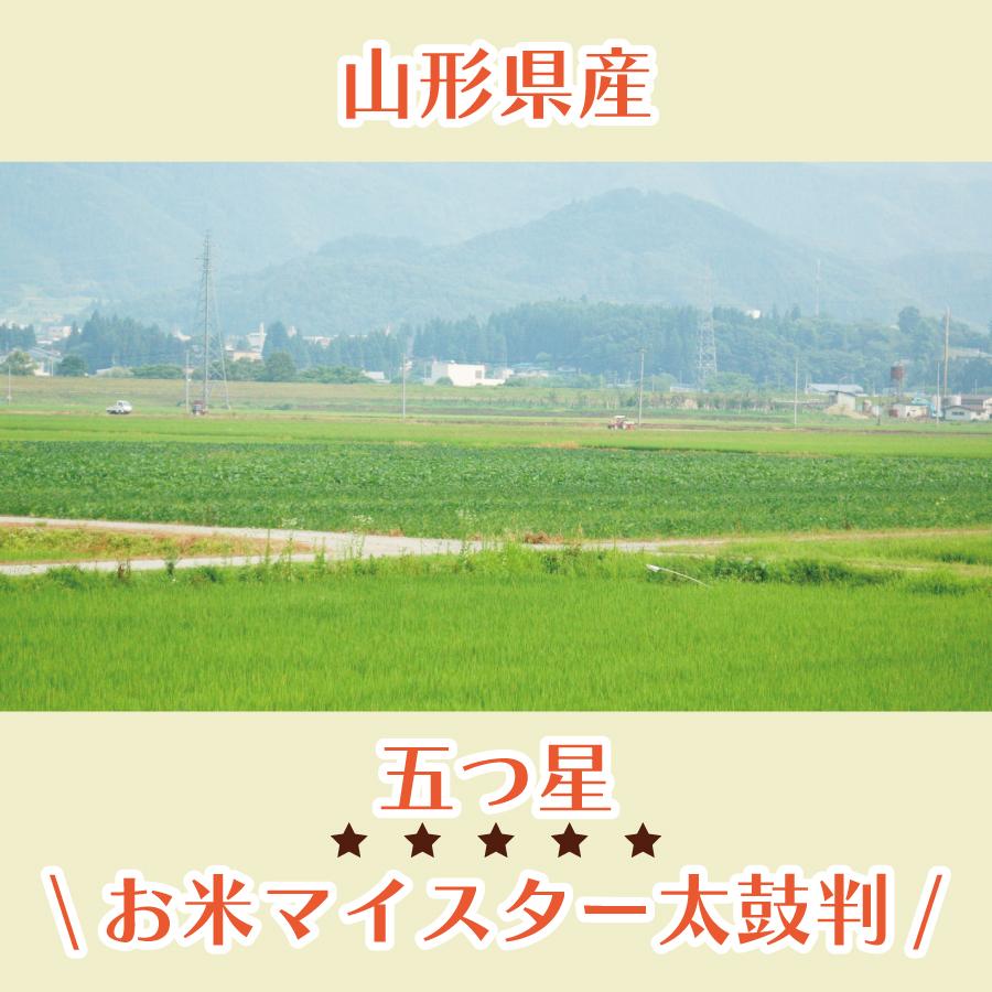 白米 令和４年産 雪若丸 ５kg 山形県産 送料無料 国産 ギフト お米 お取り寄せ お試し 御中元 お中元 御歳暮 敬老の日 御礼 誕生祝い 御祝 返礼品