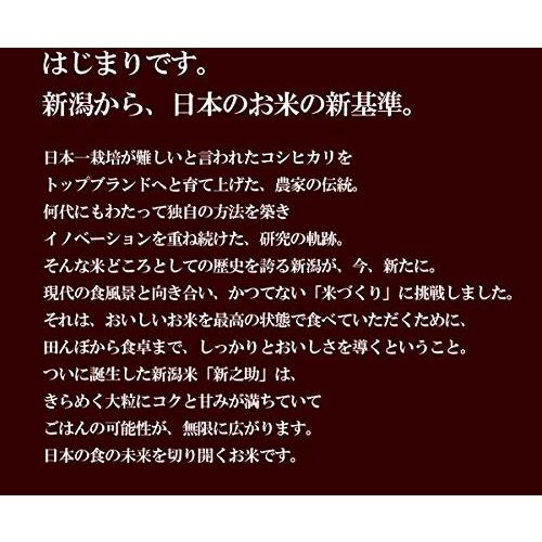 新米 令和5年産 新潟県長岡産新之助 5kg 新潟から産地直送 五ツ星お米マイスター推奨米