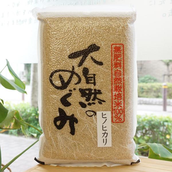 無肥料無農薬「大自然のめぐみ」ヒノヒカリ 熊本県産 精米可能　令和5年度産