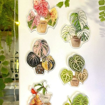 ⚡臺灣出貨⚡植物原創綠植磁吸磁貼2026創意熱植文創周邊旋轉冰箱貼 八月優選