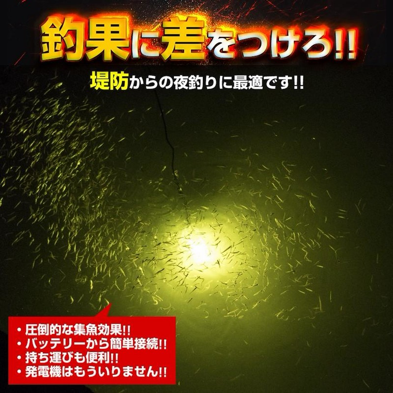 楽天市場】集魚灯 12v 専用 イエロー 300w 水中集魚灯