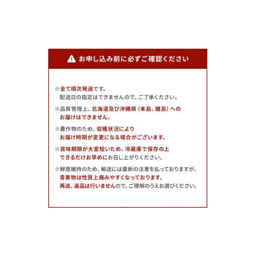 ふるさと納税 福岡県 古賀市 果物定期便C