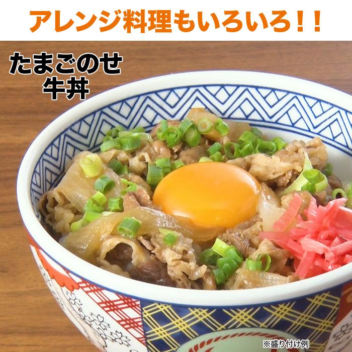 吉野家牛丼の具10食 テレビ朝日 テレ朝通販 ロッピング