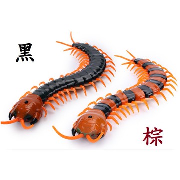 【遙控蜈蚣】整人玩具蜈蚣 寵物玩具 萬聖節 生日禮物 電動假蜈蚣