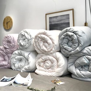 新升級超柔云絨被春秋被小資風單人雙人抗菌加厚保暖冬被四季被芯