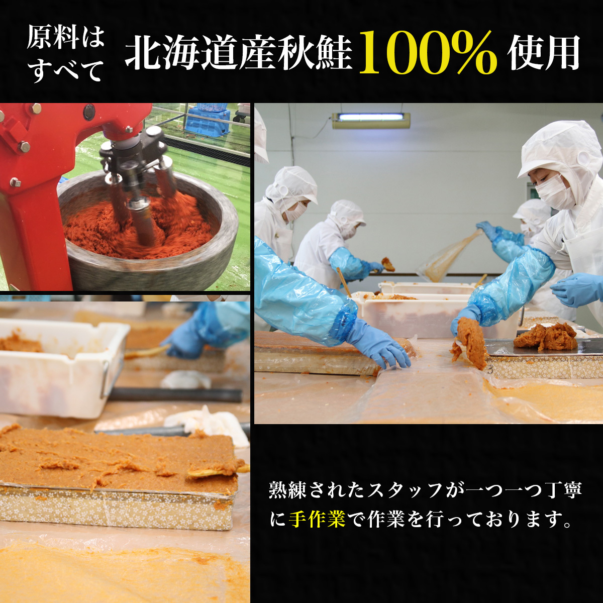 鮭とば お歳暮 贈り物 ギフト プレゼント4種セット 北海道産 鮭ジャーキー 50g 鮭とば さけとば おつまみ 明太 みりんプレーン ブラックペッパー バジル