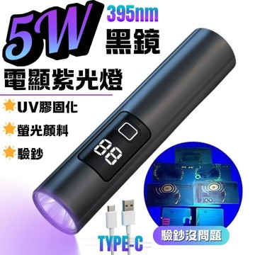 現貨 395nm uv燈手電筒 黑鏡 紫外線手電筒 uv手電筒 紫光手電筒 uv燈 紫外線 驗鈔筆 TYPE-C充電