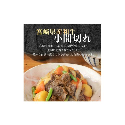 ふるさと納税 宮崎県 延岡市 宮崎牛 ロース ステーキ 250g×2 宮崎県産和牛小間切れ 100g×2 計700g　N0147-ZB526