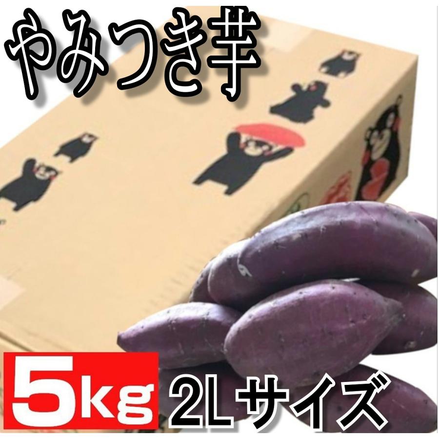 熊本産紅はるか丸形2Lサイズ 蜜芋 送料無料 ご家庭用 お歳暮