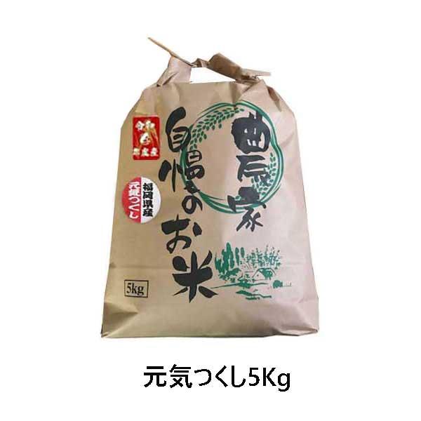 元気つくし 5kg  令和5年産　福岡県産　農家直送 送料無料　新米