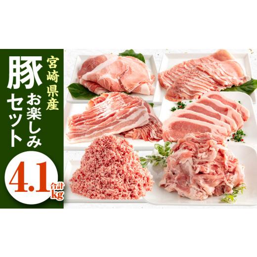 ふるさと納税 宮崎県 宮崎市 宮崎県産豚肉 お楽しみセット 計4.1kg _M241-002