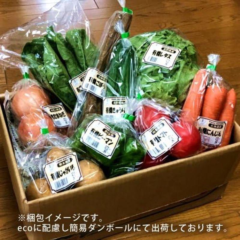 日本の有機野菜セット［9種類］季節の旬 有機農法 野菜 詰め合わせ 日本全国ご当地生産者 有機栽培 ベジタブル スムージー 野菜材料