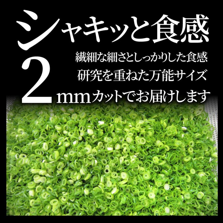 カットねぎ 500g ねぎ ネギ 藤澤さん家のカットねぎ 葱 冷凍 とれたてネギ 香川県産 冷凍野菜 時短 料理 簡単調理 包丁いらず