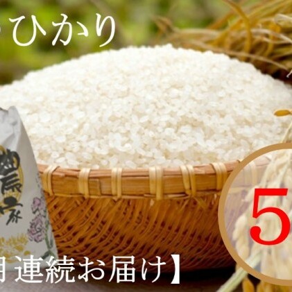 米 令和5年度 ひのひかり 5kg×3回お届け