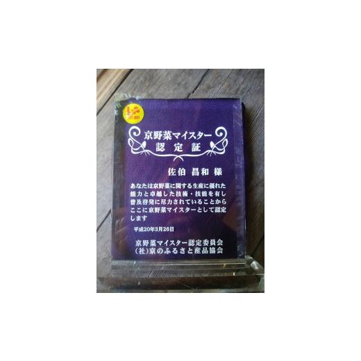 ふるさと納税 京都府 京都市 先行予約京野菜セット ＜数量限定＞