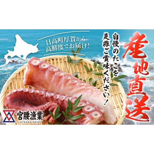 ふるさと納税 北海道 日高町 ハーフボイルタコ 1kg 