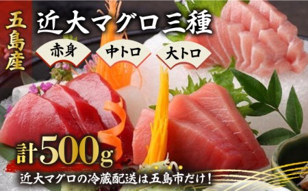 長崎県五島産 近大マグロ 約500g (大トロ・中トロ・赤身) まぐろ 刺身 お取り寄せ 高級 グルメ ギフト 海鮮 五島市 五島ヤマフ [PAK010]