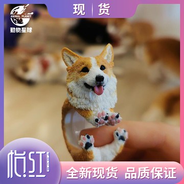 【怡紅】動物星球柯基可愛狗狗戒指潮玩限量雕像手辦模型