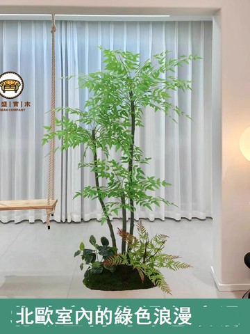 免運 附發票 公司貨 仿真植物 假樹 裝飾綠植 人造樹 仿真綠植盆栽客廳假植物南天竹造景裝飾室內仿生貴妃葵落地擺件樹工廠現貨直銷 店長新品推薦 售後保障 全館折扣 5F1024