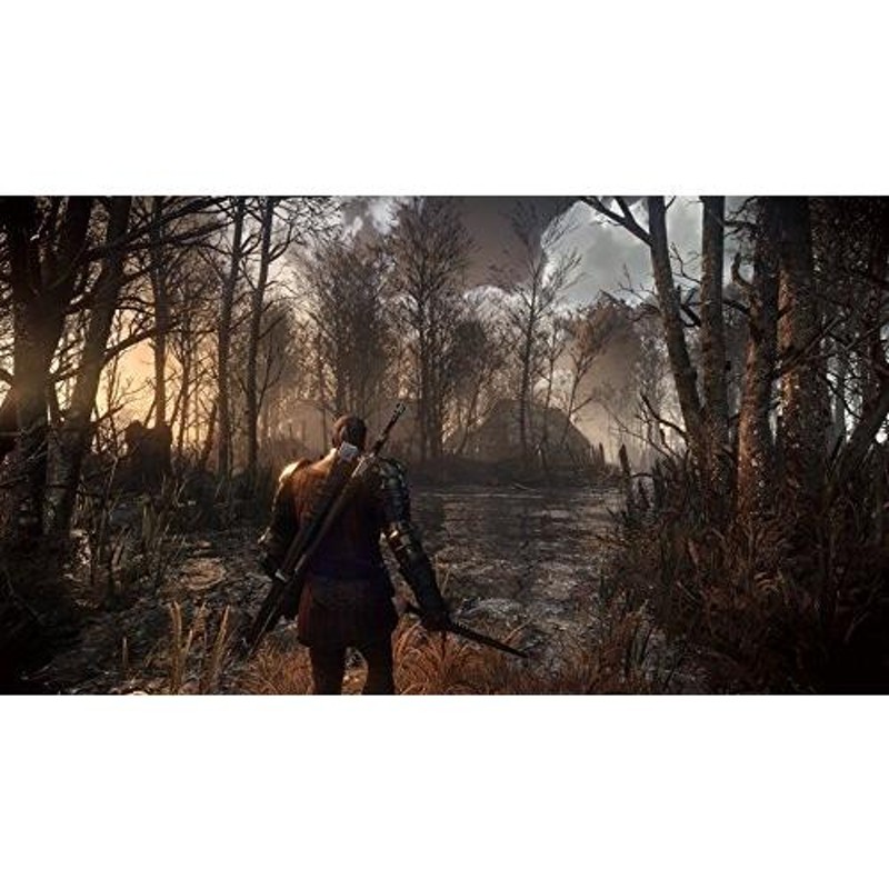 The Witcher III Wild Hunt 輸入版:北米 - PS4 - PS3 並行輸入 並行