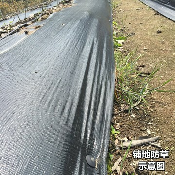 加密園藝地布除草布抑草布地膜耐用款加強防草布