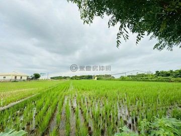 前後臨路方正農地-近苗栗苑交流道-專任委託｜苗栗縣苑裡鎮社柑段