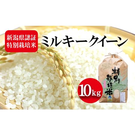 ふるさと納税 令和5年産 新潟県認証特別栽培米 ミルキークイーン 10kg 新潟県新潟市