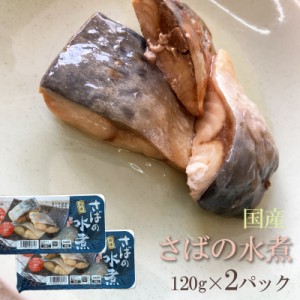 国産  [さばの水煮 240g（120g×2袋）鮮冷 SN]保存料・化学調味料不使用 時短商品 送料無料 メール便 ポイント消化 ネコポス 即送