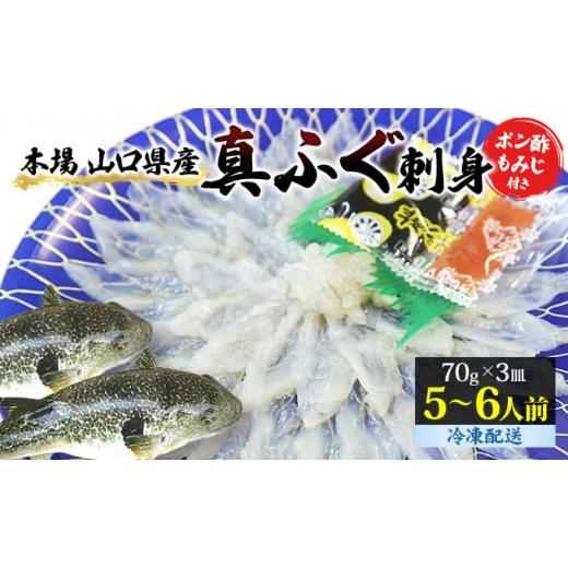 ふるさと納税 山口県 萩市 [No.5226-0205]萩の真ふぐ刺身（3皿）