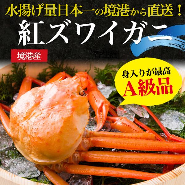 訳あり 茹で 紅ズワイガニ  (4〜6杯 合計1.5kg前後)  A級品 ボイル 紅ずわい蟹 国産 蟹 姿 鮮魚 日本海産 カニ 未冷凍 産地直送 お取り寄せ 食材 冷蔵配送