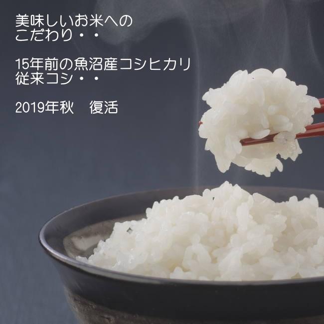 新米 5kg 令和5年 米 魚沼産 従来 コシヒカリ 送料込 2023年 特A 一等米 新米予約