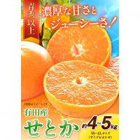 一度は食べていただきたい! 有田産のせとか 青秀以上 約4～5kg （サイズおまかせ） 厳選館 《2024年2月下旬-4月上旬頃より順次出荷》 和歌山県 日高川町 せとか 柑橘 有田産